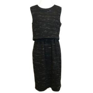 Ann Taylor Sleeveless Dress Black 6